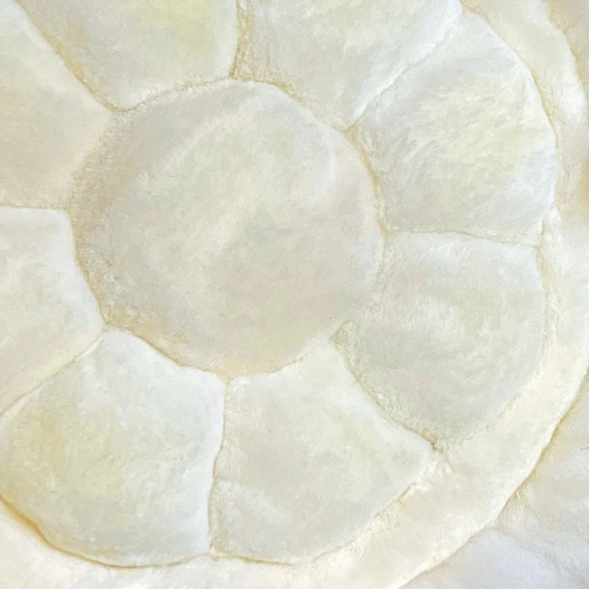 Flower Skin Chair Cushion image 5