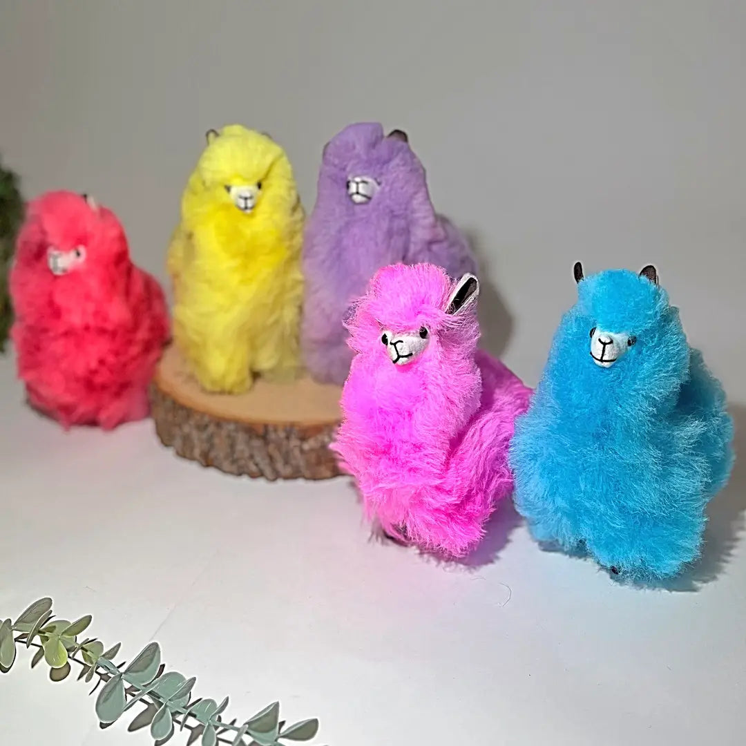 Five colorful fluffy llamas on a white surface with a light gray background